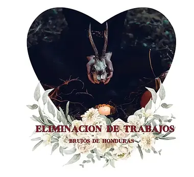 Diseño sin tÃtulo (4)_6.webp