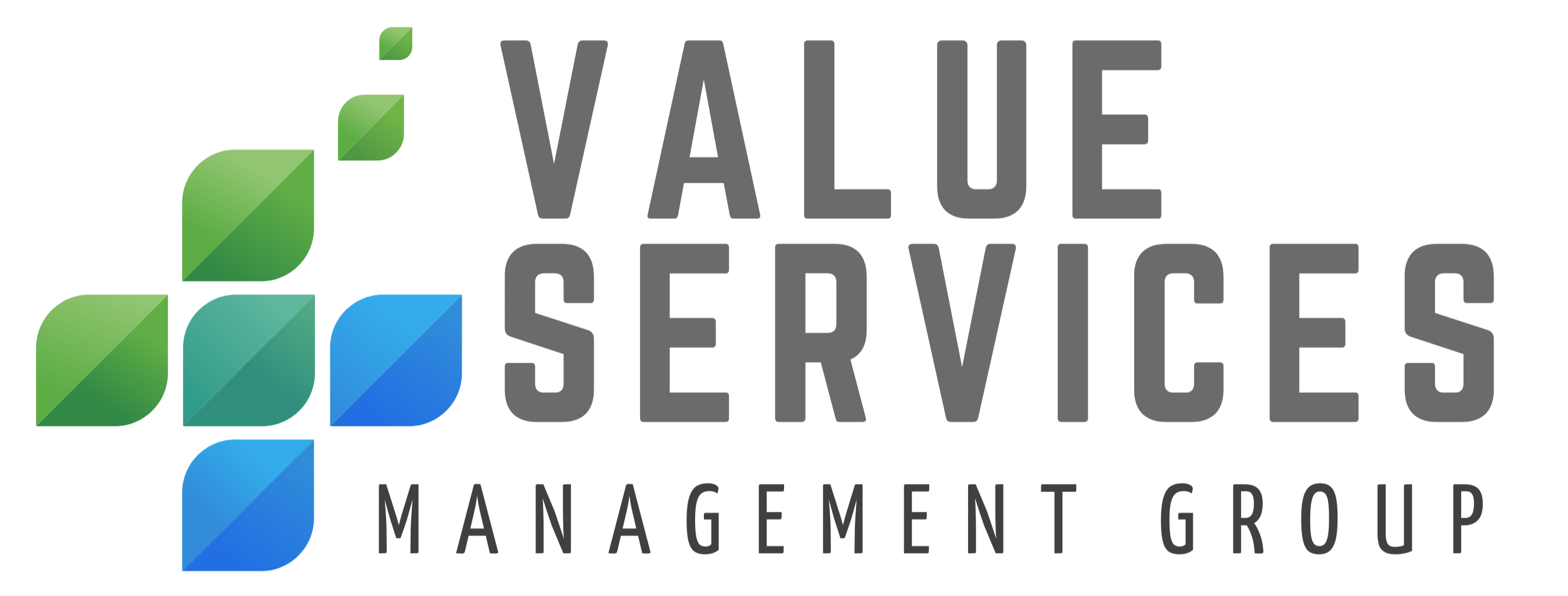 Value Services Management Group — supporting states applying for the $50B CMS Rural Health Transformation Program.