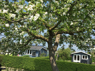 Opdateret hjemmeside