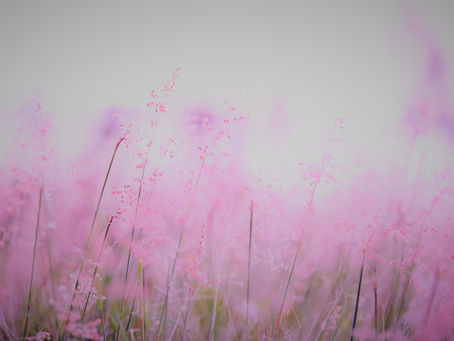 Wakacyjny Plan Pracy cz 2