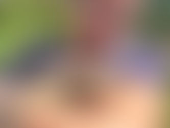 Ask about our 25% off for repeat Puppy parents