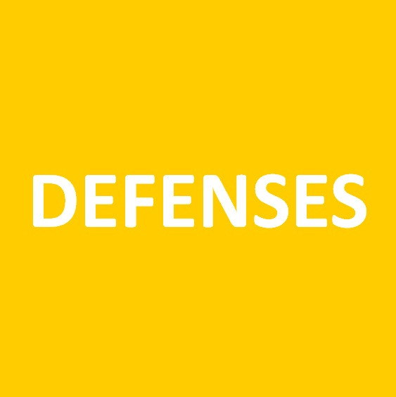 CAPITAL DEFENSES