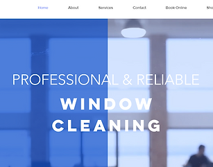 Cleaning Company