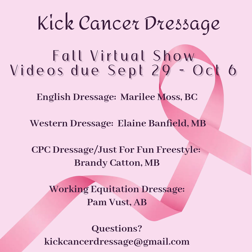 Virtual Dressage Show    Fundraiser