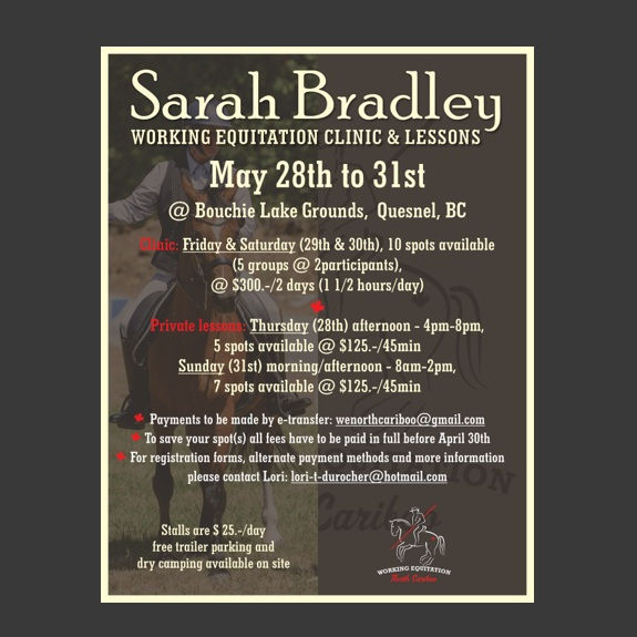 Working Equitation Clinic and Lessons with Sarah Bradley