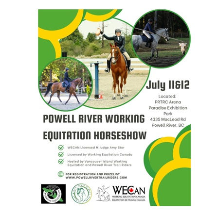 Licensed Working Equitation Show