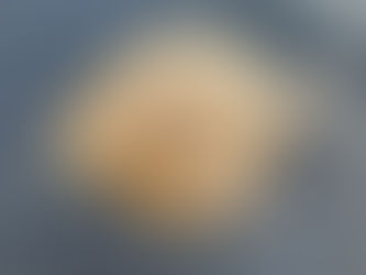 Daiwa shore league matchday eight