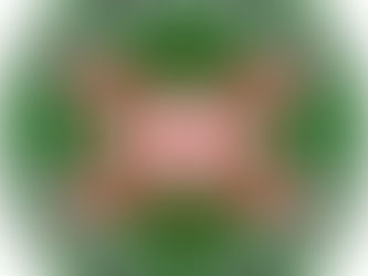 Committee and members of our Federation would like to wish all anglers a very happy new year