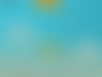 Some info for our 'new to competition' members