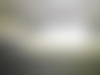 The Final Fish of the Month for 2021