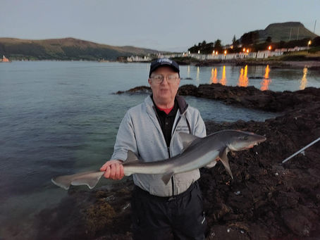 Federation members Mike Henry and Paul Beggs with smoothounds