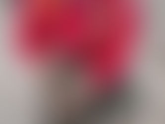 Daiwa shore league - Match day seven