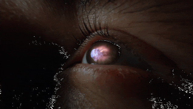 Imagen1.gif