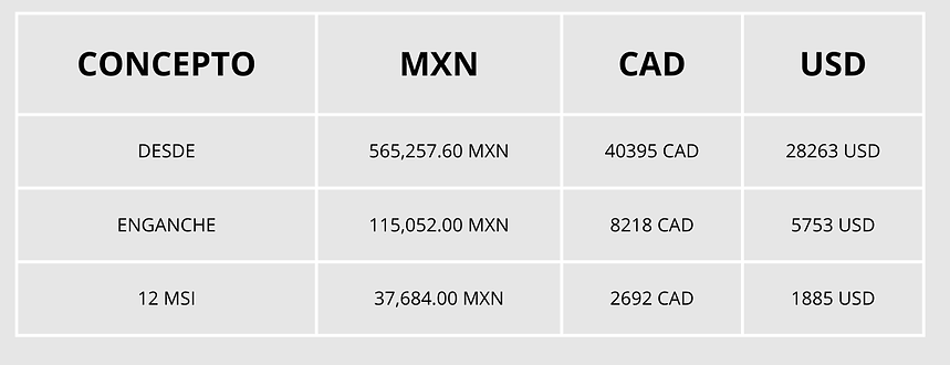 Precio en MXN.png