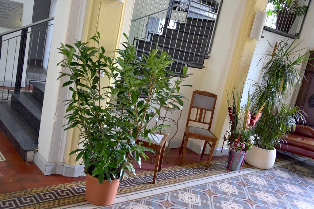 Schloss Kröchlendorf – Foyer mit historischen Ornamentfliesen