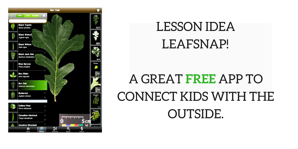 Lesson Idea: Leafsnap! A great app to connect kids with the outside.