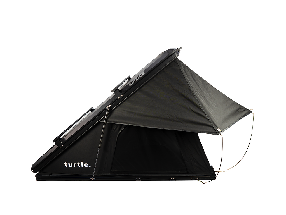 turtleWEBPICtent.png