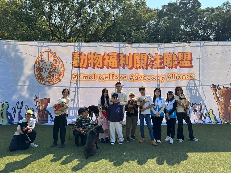 WhatsApp Image 2026-01-18 at 16.23.09