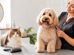 groom your pets