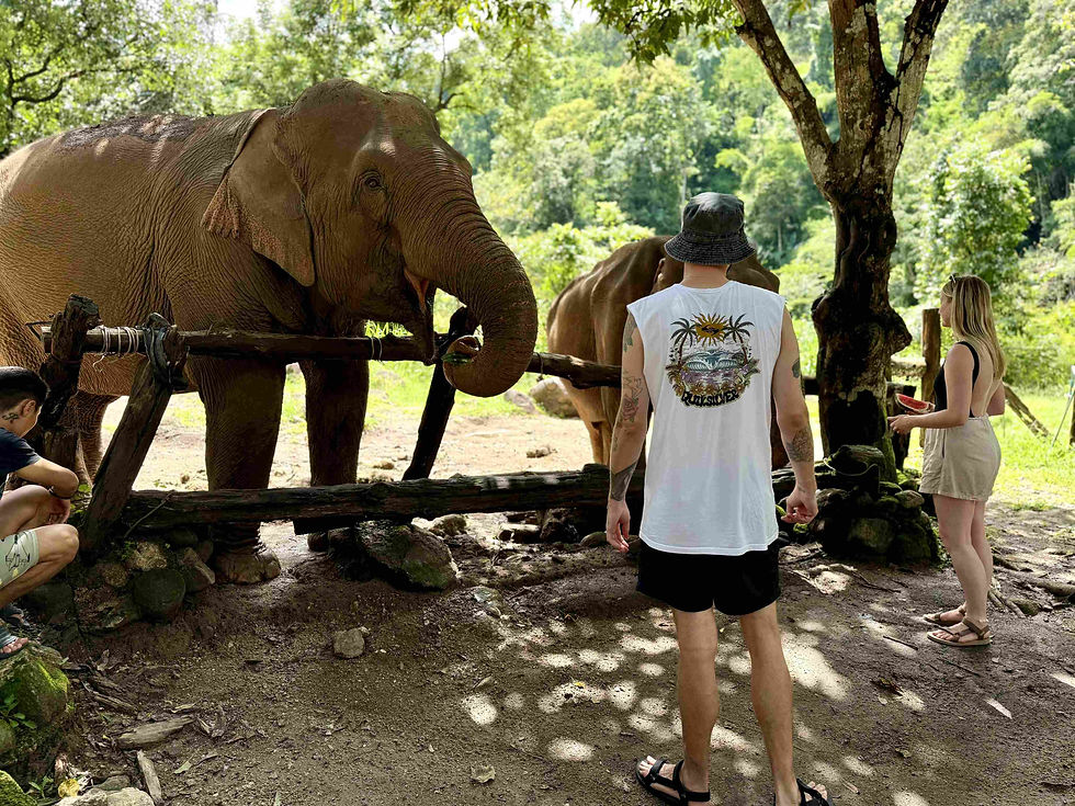 Ethical Elephant Encounter in Mae Taeng Jungle
