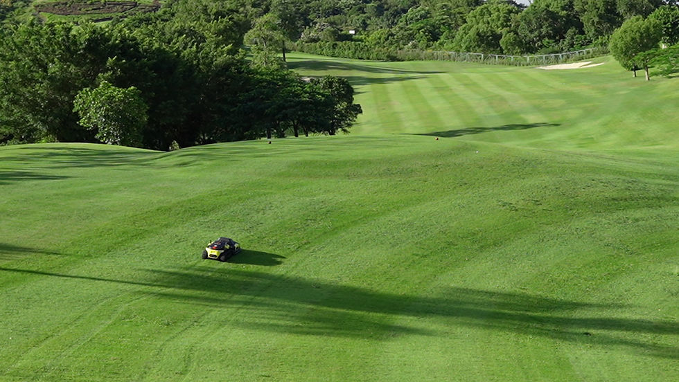Robotic Mowers vs. Traditional Mowers: Lawn Mowers A Comparative Journey
