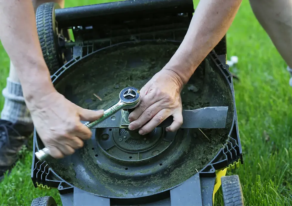 Removing-lawn-mower-blade_1280x.webp