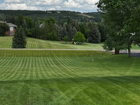 A healthy green lawn mowed by a robotic mower