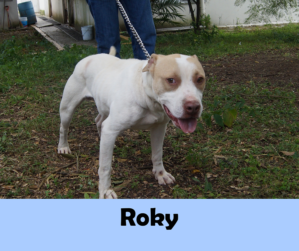 roky