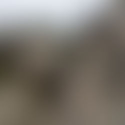Photos from another point of view