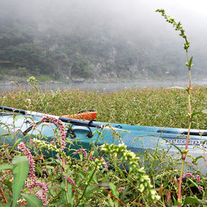 Kayak and Rafting Expedition