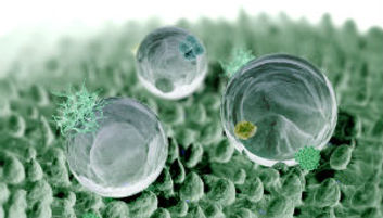 nanotecnologia-en-pinturas-una-realidad.