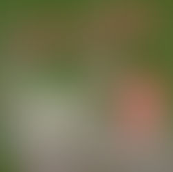 主催者より御礼|無事終演のご報告