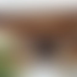 荘厳寺までのアクセスをアップしました