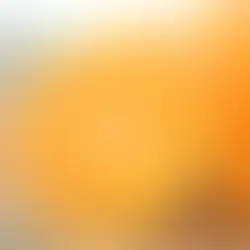 "幻の柑橘" 森川農園の【減農薬】せとか 販売中です！