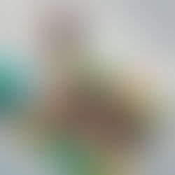 【掲載情報】雑誌「せとうち暮らし」vol.17