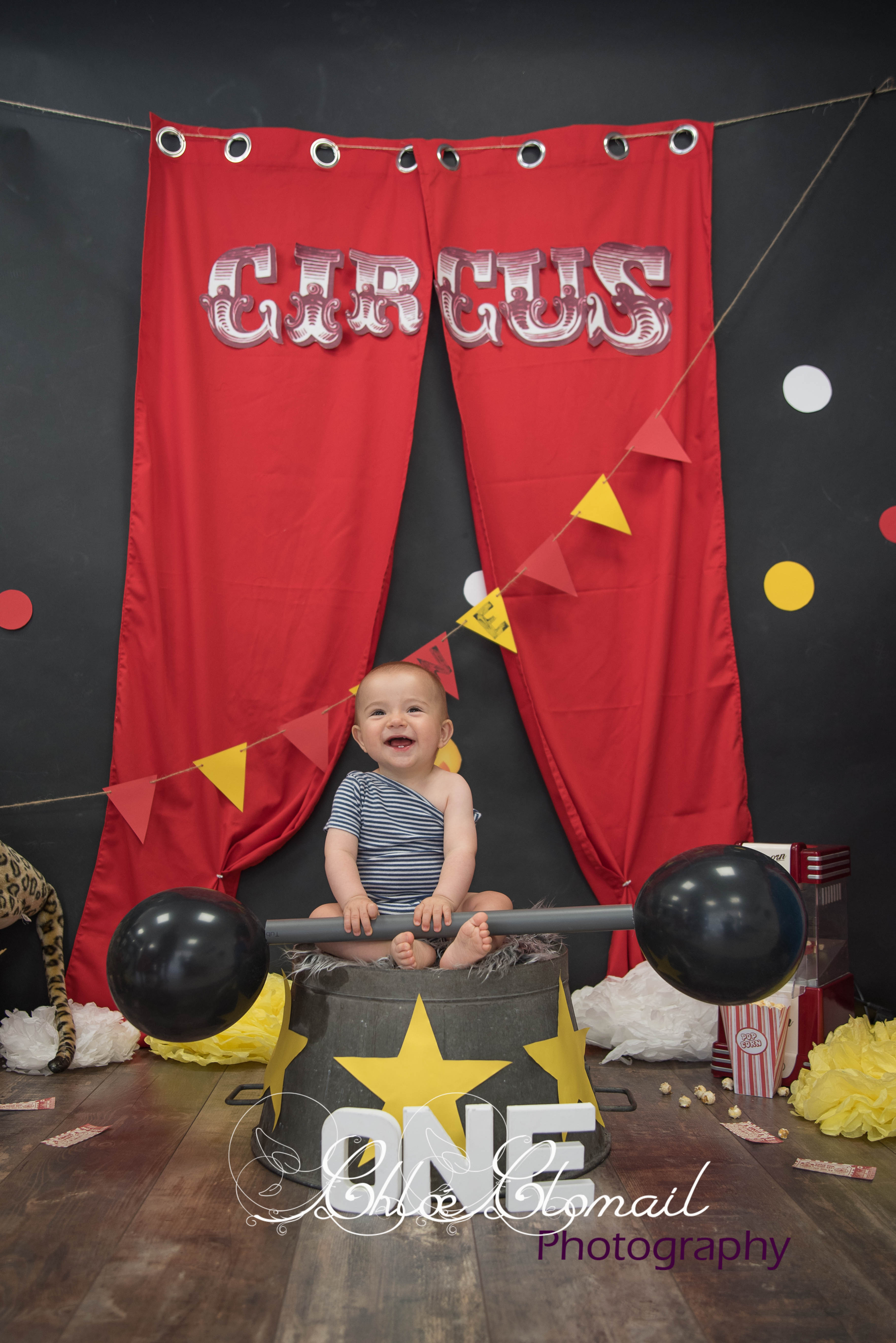 smash cake circus