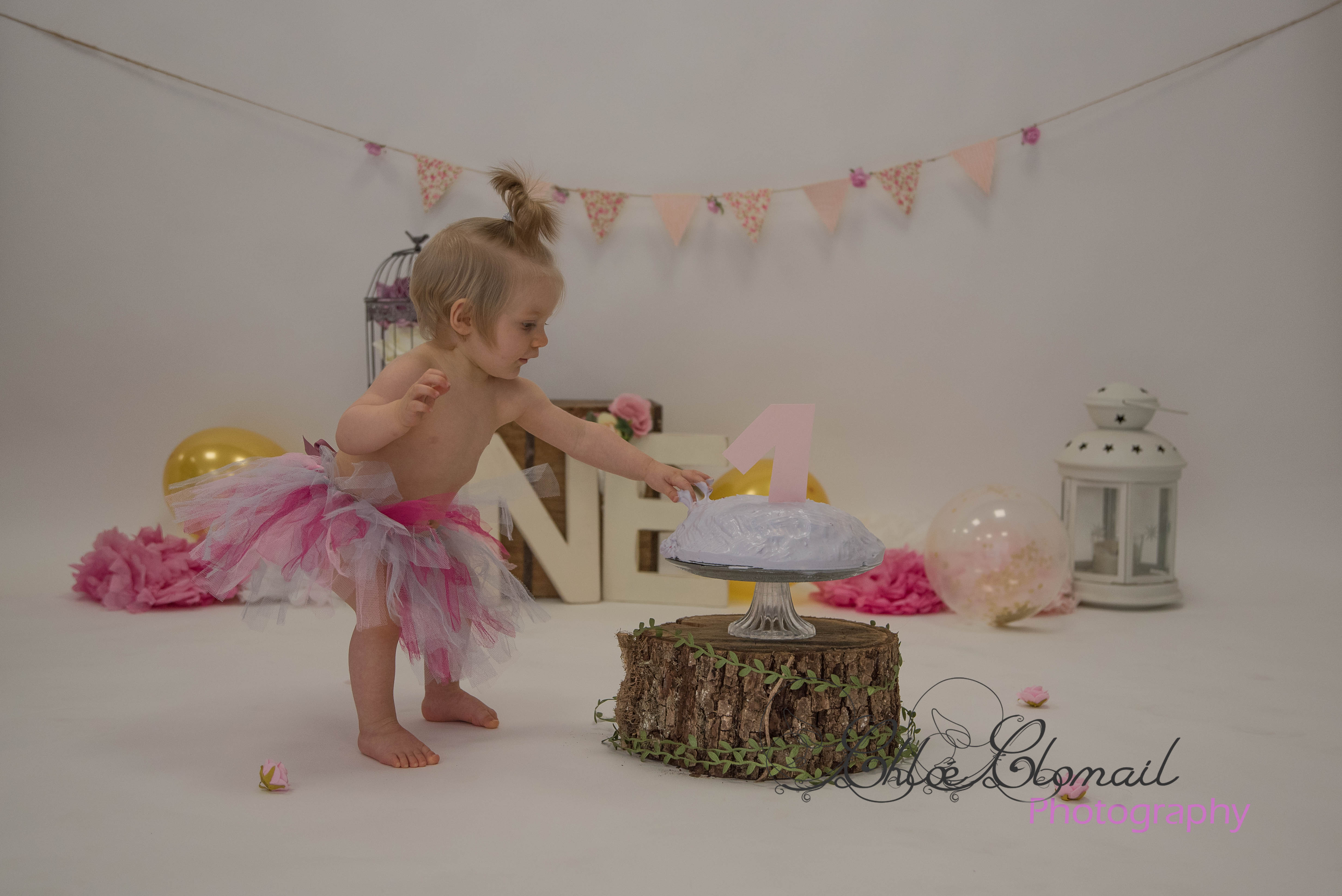 smash cake girly