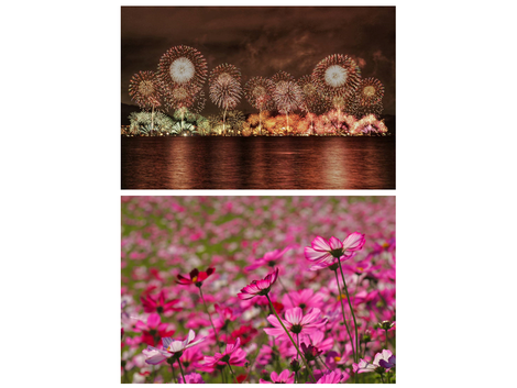 -2023- 🎆祭り🌾秋の花フォトコンテスト📷受賞者インタビュー