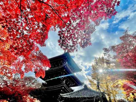 🍁紅葉フォトコンテスト📷受賞者インタビュー