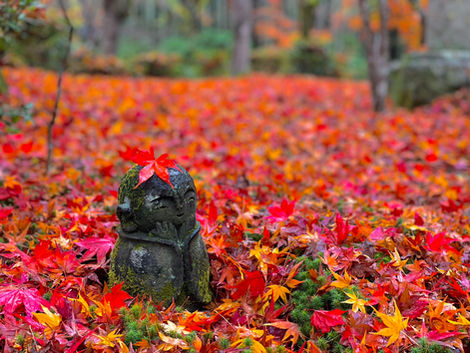 -2022-🍁紅葉フォトコンテスト📷受賞者インタビュー