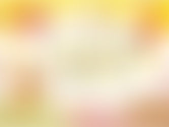 2025年11月 入社者紹介