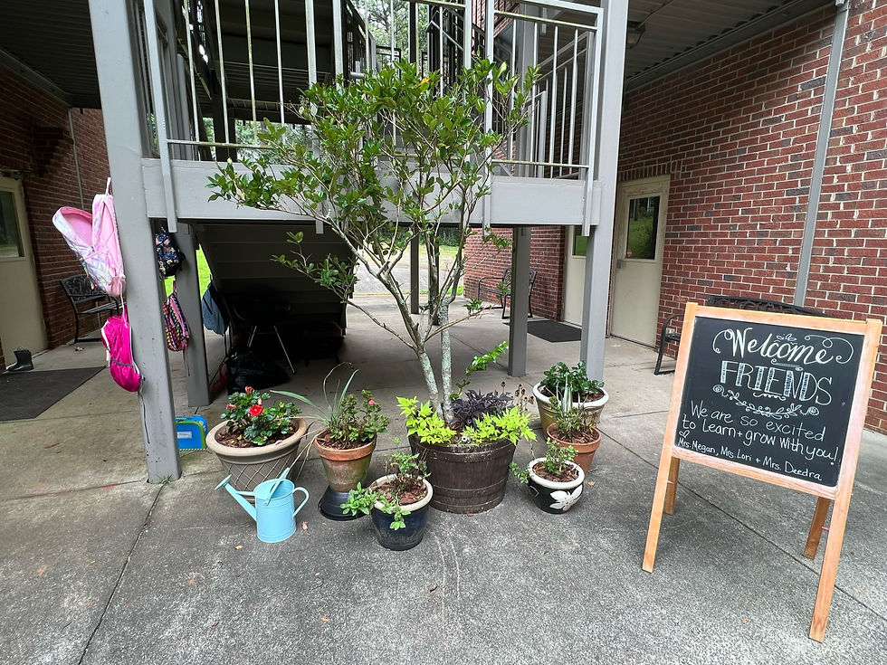 Afternoon Tour- 2:00