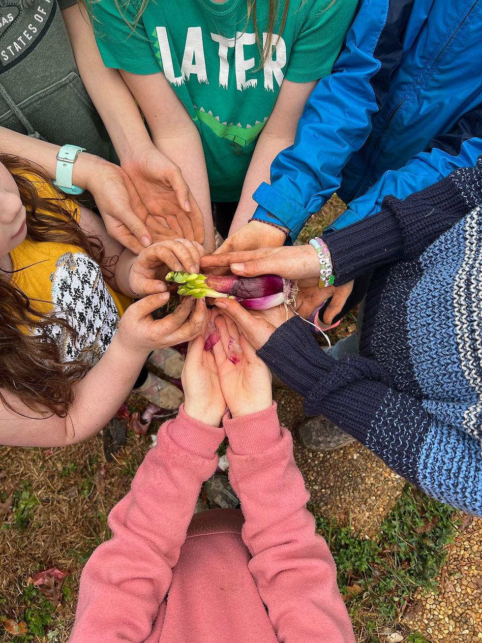 Flora & Fauna Learning Pod- Open House