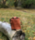Leather climbing bag on log