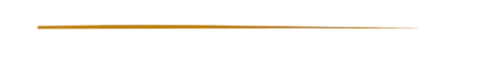 Copie de Copie de Performance ENR CORSE Sans Fond (court).png