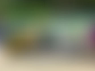 Librairie de rue en Inde