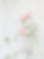 Pink Flowers_edited.jpg