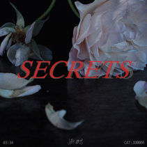 JD_Secrets_Cover.jpg