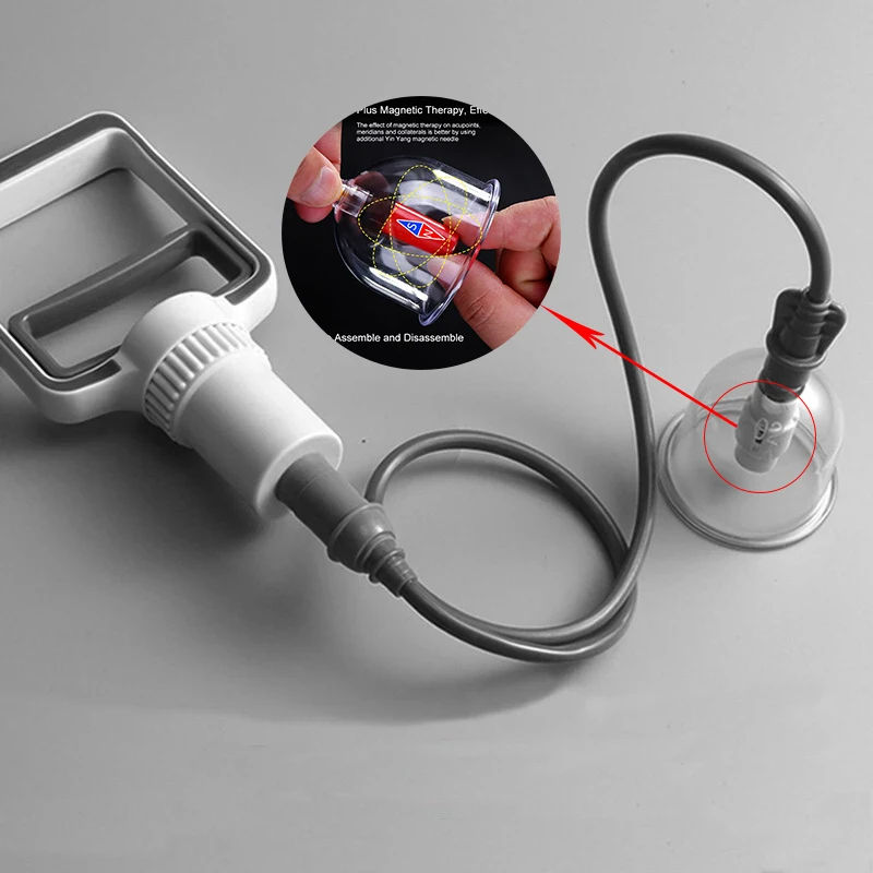 תמונה ממוזערת: Cupping Therapy Set Vacuum Cupping Set Suction Cups Massage Chinese Medicine Ant