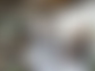 Quand aller voir un courtier immobilier ? Avantages clés